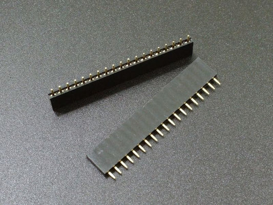 19 Pin Female Header 2.54mm Straight 1X19P ET7656